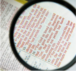 Magnified Bible